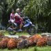 Indonesian Palm Oil Players Want CPO issue Separated from IEU-CEPA Negotiations