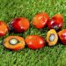 Facts About Indonesian Palm Oil